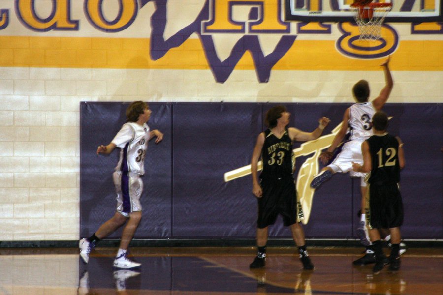 Birdville Basketball 433
