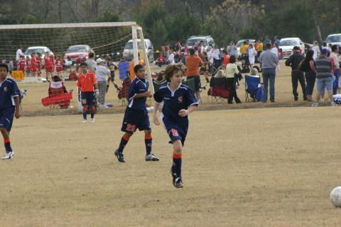 Alamo Classic 070