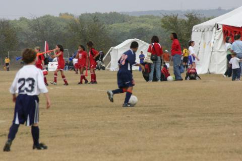 Alamo Classic 007