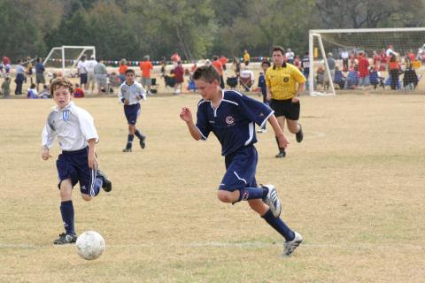 Alamo Classic 071