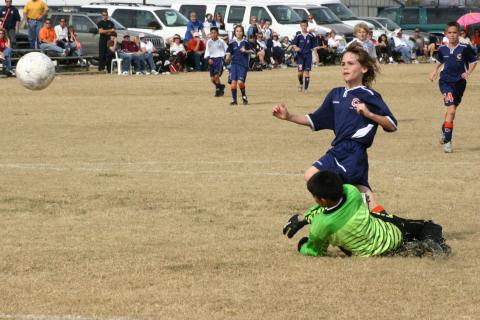 Alamo Classic 012