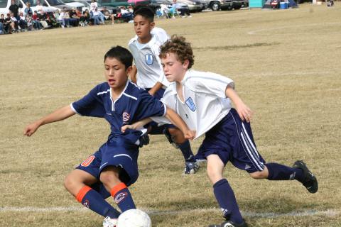 Alamo Classic 024