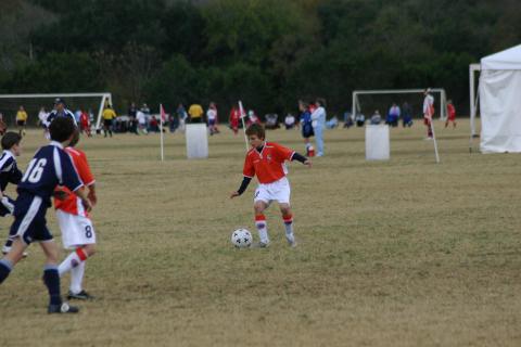 Alamo Classic 088