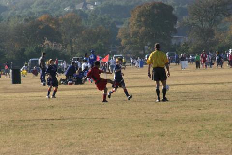 Alamo Classic 126