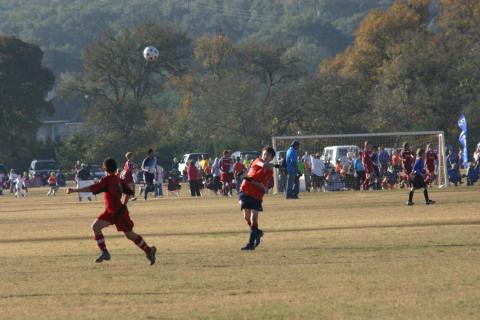Alamo Classic 127
