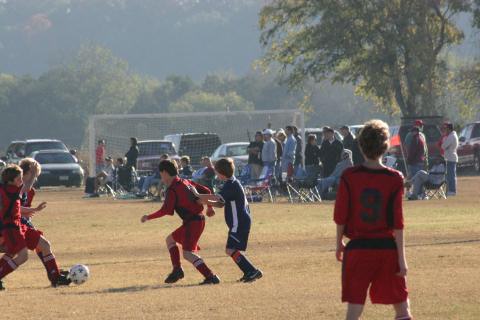 Alamo Classic 144