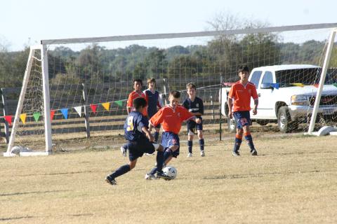 Alamo Classic 195