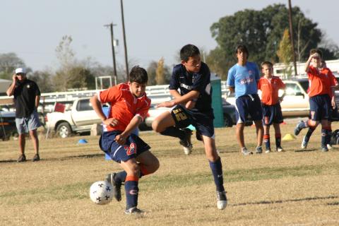 Alamo Classic 204