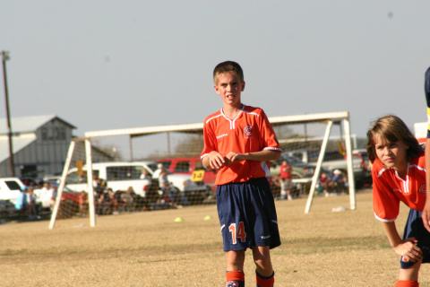 Alamo Classic 206