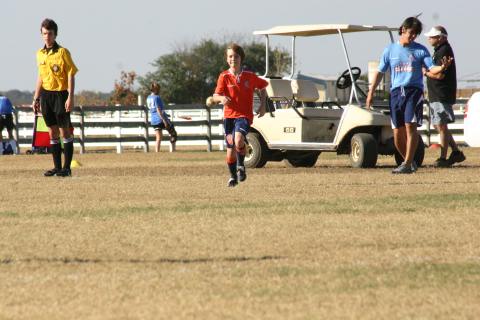 Alamo Classic 208