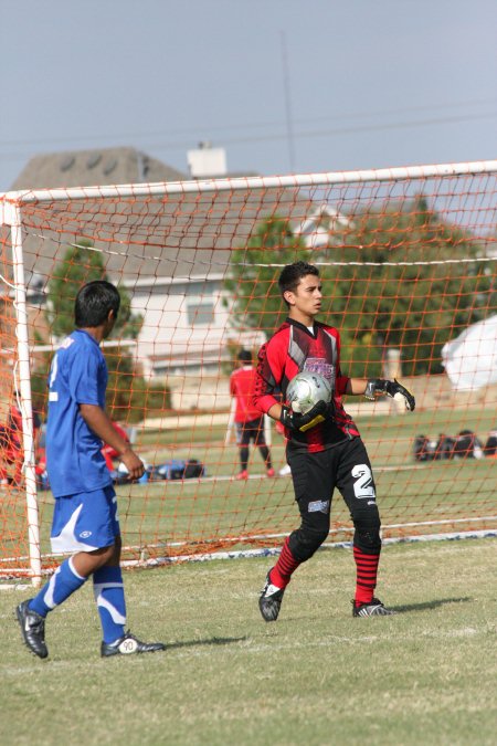 Tornados - 11 Oct 08 189